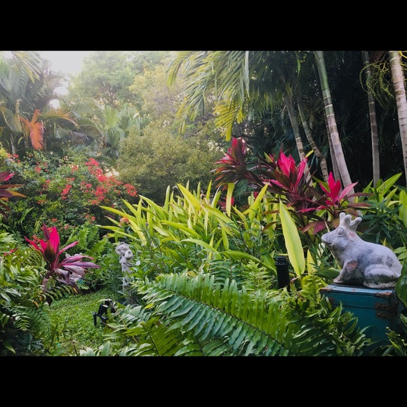 Meet your Posher, Laurie - Picture 5 of 10